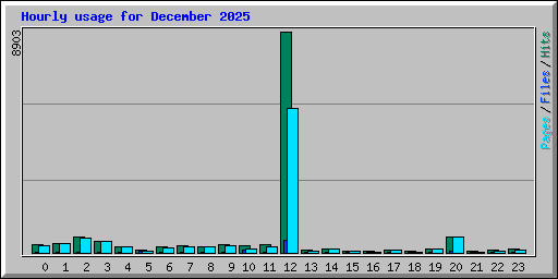 Hourly usage for December 2025