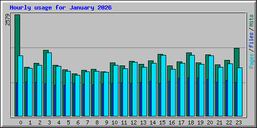 Hourly usage for January 2026
